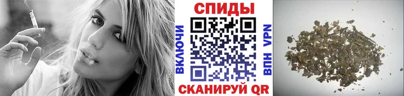 Бутират буратино Глазов