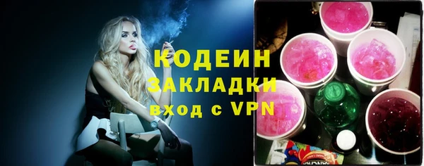 дживик Бородино