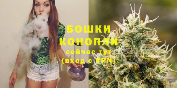 трава Верея