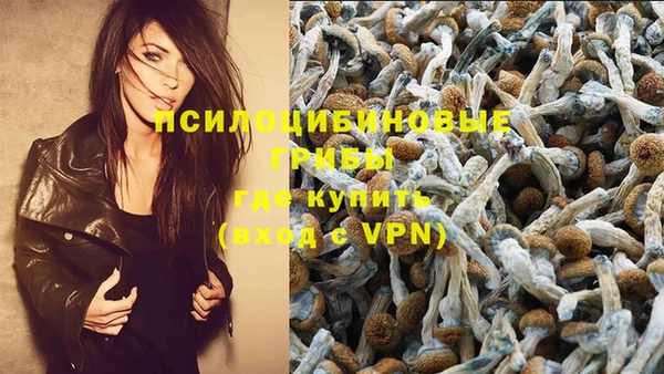 трава Верея