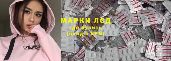 трава Верея