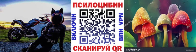 Галлюциногенные грибы мицелий  купить наркотики цена  Глазов 